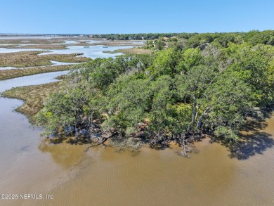 Private Island in Queen's Harbour - No HOA Fees A rare chance to on Queens Harbour Yacht and Country Club in Florida - for sale on GolfHomes.com, golf home, golf lot