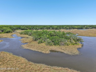 Private Island in Queen's Harbour - No HOA Fees A rare chance to on Queens Harbour Yacht and Country Club in Florida - for sale on GolfHomes.com, golf home, golf lot