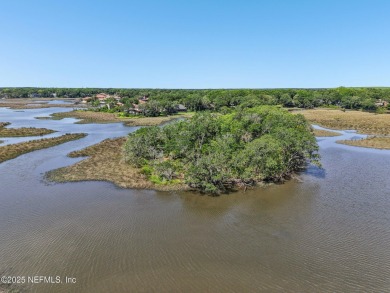 Private Island in Queen's Harbour - No HOA Fees A rare chance to on Queens Harbour Yacht and Country Club in Florida - for sale on GolfHomes.com, golf home, golf lot