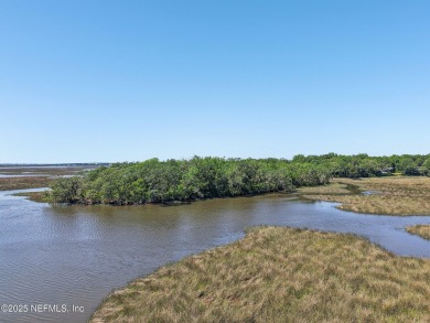 Private Island in Queen's Harbour - No HOA Fees A rare chance to on Queens Harbour Yacht and Country Club in Florida - for sale on GolfHomes.com, golf home, golf lot