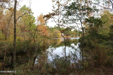 This stunning 1.4-acre waterfront lot on Lake Blum in the on Foxfire Golf and Country Club in North Carolina - for sale on GolfHomes.com, golf home, golf lot