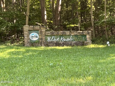 Looking for a vacation home that will be used all year long? on Blue Knob Rec Area Golf Course in Pennsylvania - for sale on GolfHomes.com, golf home, golf lot