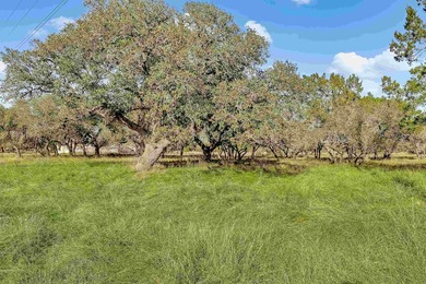 Tucked away directly behind the Hole 5 green of the prestigious on Delaware Springs Golf Course in Texas - for sale on GolfHomes.com, golf home, golf lot