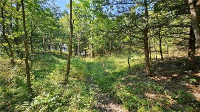 Fantastic lot in Linn Valley Lakes resort-like community! Build on Linn Valley Lakes - Deer Trace Golf Course in Kansas - for sale on GolfHomes.com, golf home, golf lot