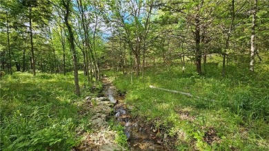 Fantastic lot in Linn Valley Lakes resort-like community! Build on Linn Valley Lakes - Deer Trace Golf Course in Kansas - for sale on GolfHomes.com, golf home, golf lot