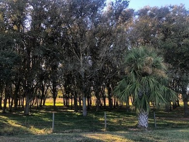 Lot #158 - 2 Bed / 2 Bath / 864 Sq. Ft. / $55,000 -- 2008 on Cypresswood Golf and Country Club in Florida - for sale on GolfHomes.com, golf home, golf lot