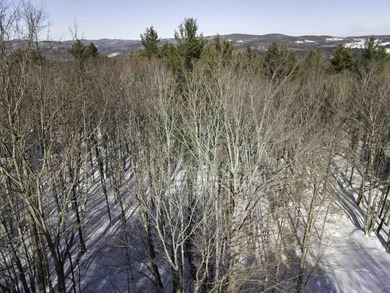 Discover the perfect setting for your Vermont dream home on this on Quechee Club in Vermont - for sale on GolfHomes.com, golf home, golf lot