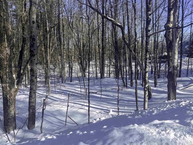 Discover the perfect setting for your Vermont dream home on this on Quechee Club in Vermont - for sale on GolfHomes.com, golf home, golf lot