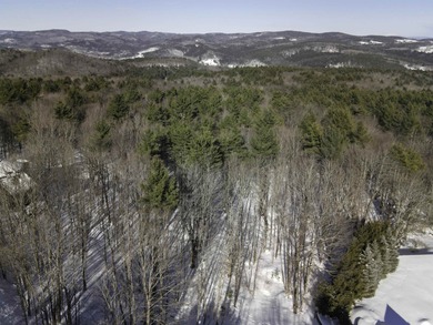 Discover the perfect setting for your Vermont dream home on this on Quechee Club in Vermont - for sale on GolfHomes.com, golf home, golf lot