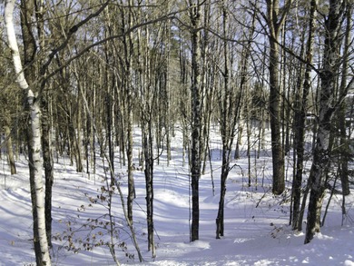 Discover the perfect setting for your Vermont dream home on this on Quechee Club in Vermont - for sale on GolfHomes.com, golf home, golf lot