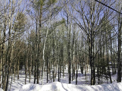 Discover the perfect setting for your Vermont dream home on this on Quechee Club in Vermont - for sale on GolfHomes.com, golf home, golf lot