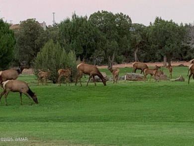 Birds and wildlife abound in a private setting. From your couch on Juniper Ridge R.V. Golf Resort in Arizona - for sale on GolfHomes.com, golf home, golf lot