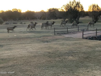 Birds and wildlife abound in a private setting. From your couch on Juniper Ridge R.V. Golf Resort in Arizona - for sale on GolfHomes.com, golf home, golf lot