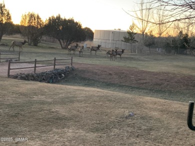 Birds and wildlife abound in a private setting. From your couch on Juniper Ridge R.V. Golf Resort in Arizona - for sale on GolfHomes.com, golf home, golf lot