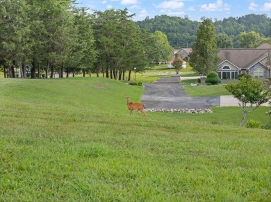 Enjoy resort-style living in this 3-bedroom, 2-bath home with an on Woodson Bend Resort in Kentucky - for sale on GolfHomes.com, golf home, golf lot