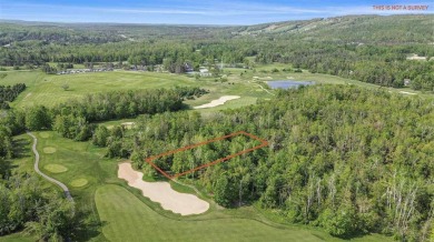 Build your dream retreat on this prime .63-acre parcel nestled on Wequetonsing Golf Course in Michigan - for sale on GolfHomes.com, golf home, golf lot