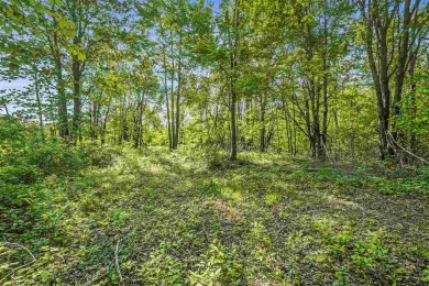 Build your dream retreat on this prime .63-acre parcel nestled on Wequetonsing Golf Course in Michigan - for sale on GolfHomes.com, golf home, golf lot