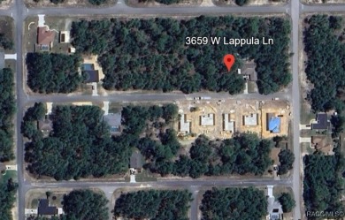 Beautiful homesite on smooth paved road in the growing on Pine Ridge Community Golf and Country Club in Florida - for sale on GolfHomes.com, golf home, golf lot
