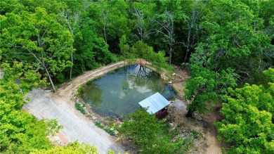Private mountaintop sanctuary in Holiday Island, AR--where on Holiday Island Executive Golf Course in Arkansas - for sale on GolfHomes.com, golf home, golf lot