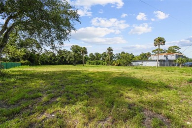 Investment-Grade Land for Savvy Builders  Developers. This is a on Daytona Beach Golf Club in Florida - for sale on GolfHomes.com, golf home, golf lot