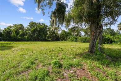 Investment-Grade Land for Savvy Builders  Developers. This is a on Daytona Beach Golf Club in Florida - for sale on GolfHomes.com, golf home, golf lot