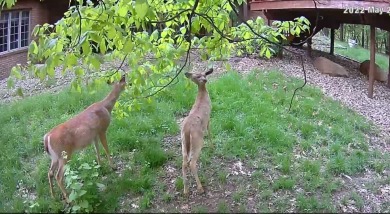 Near the school and tucked in a cul-de-sac, the original builder on Goodrich Country Club in Michigan - for sale on GolfHomes.com, golf home, golf lot