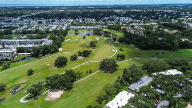 One or more photo(s) has been virtually staged. Discover your on East Bay Golf Club in Florida - for sale on GolfHomes.com, golf home, golf lot