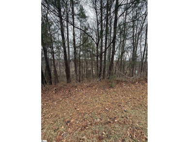 Another great listing presented by Chucktown Homes Powered By on The Clubs at Cherokee Valley Golf Course in South Carolina - for sale on GolfHomes.com, golf home, golf lot