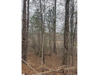 Another great listing presented by Chucktown Homes Powered By on The Clubs at Cherokee Valley Golf Course in South Carolina - for sale on GolfHomes.com, golf home, golf lot