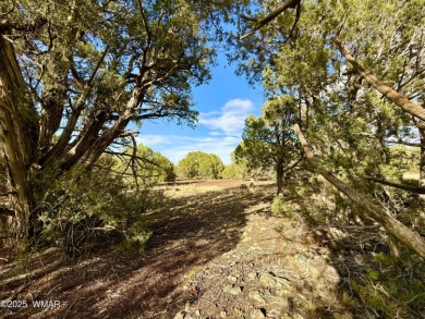 Gorgeous, rare creekside lot that is level and flat and then on Silver Creek Golf Club in Arizona - for sale on GolfHomes.com, golf home, golf lot