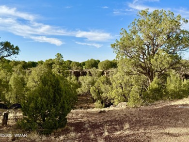 Gorgeous, rare creekside lot that is level and flat and then on Silver Creek Golf Club in Arizona - for sale on GolfHomes.com, golf home, golf lot