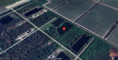 Build your dream home on this 6+ acre lot with your own 3+ acre on The Club At Twin Eagles in Florida - for sale on GolfHomes.com, golf home, golf lot