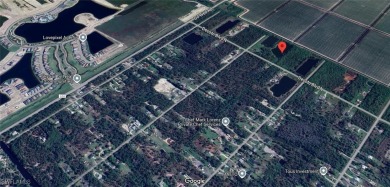 Build your dream home on this 6+ acre lot with your own 3+ acre on The Club At Twin Eagles in Florida - for sale on GolfHomes.com, golf home, golf lot