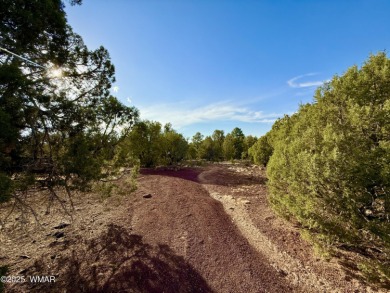 Gorgeous, rare creekside lot that is level and flat and then on Silver Creek Golf Club in Arizona - for sale on GolfHomes.com, golf home, golf lot
