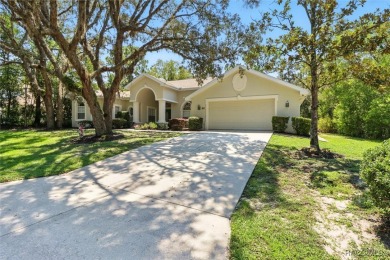 Immaculate Custom-Built Pool Home in Sugarmill Woods - Move-In on Sugarmill Woods Golf and Country Club in Florida - for sale on GolfHomes.com, golf home, golf lot
