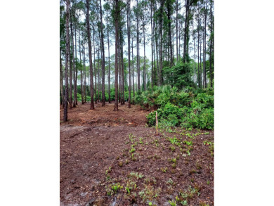 The absolute best cleared bay vies lot in St James Bay Golf & on St. James Bay in Florida - for sale on GolfHomes.com, golf home, golf lot