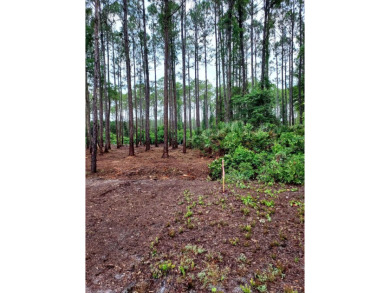 The absolute best cleared bay vies lot in St James Bay Golf & on St. James Bay in Florida - for sale on GolfHomes.com, golf home, golf lot
