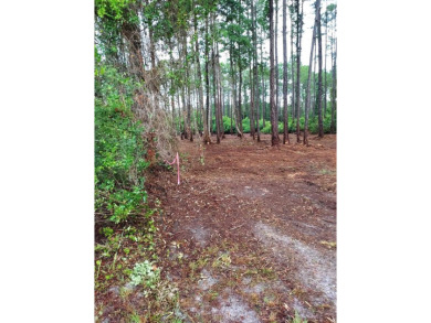 The absolute best cleared bay vies lot in St James Bay Golf & on St. James Bay in Florida - for sale on GolfHomes.com, golf home, golf lot
