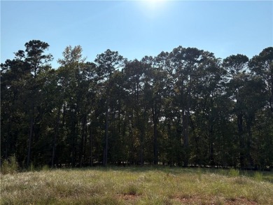 Welcome to Eagle Ridge at StillWaters Lot 22 - one of Lake on Stillwaters Golf and Country Club in Alabama - for sale on GolfHomes.com, golf home, golf lot