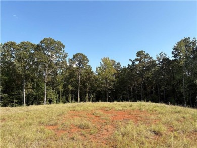 Welcome to Eagle Ridge at StillWaters Lot 24 - one of Lake on Stillwaters Golf and Country Club in Alabama - for sale on GolfHomes.com, golf home, golf lot