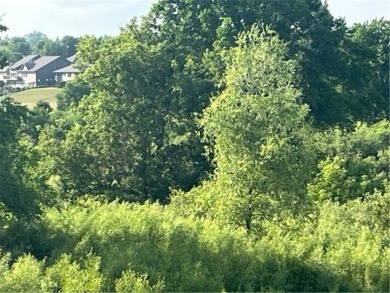 Exciting Opportunity - Two Lots for the Price of One!
Over 1 on Albany Golf Club in Minnesota - for sale on GolfHomes.com, golf home, golf lot