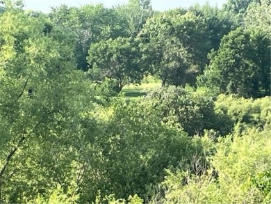 Exciting Opportunity - Two Lots for the Price of One!
Over 1 on Albany Golf Club in Minnesota - for sale on GolfHomes.com, golf home, golf lot
