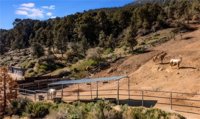 Discover the perfect spot for your future home at 1416 Banff on Pine Mountain Club in California - for sale on GolfHomes.com, golf home, golf lot
