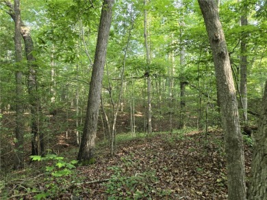 Discover the perfect spot to build your dream home on this on The Trail At Chickasaw Pointe in South Carolina - for sale on GolfHomes.com, golf home, golf lot