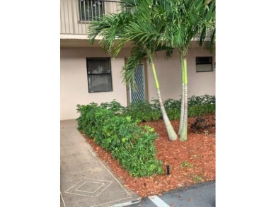 Updated 1 bed 1 bath in desirable Phase 4 of SUNRISE LAKES a 55+ on Sunrise Lakes Phase IV Golf Course in Florida - for sale on GolfHomes.com, golf home, golf lot