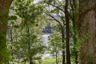 LAKEFRONT, LAKEFRONT, LAKEFRONT! This fully furnished, turnkey on Pointe Royale Village Country Club in Missouri - for sale on GolfHomes.com, golf home, golf lot