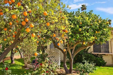 Price reduced! You will love this beautiful South Palm Desert on Shadow Mountain Golf Club in California - for sale on GolfHomes.com, golf home, golf lot