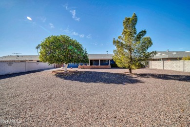 Beautiful home across the street from 1 of the many golf courses on PalmBrook Country Club in Arizona - for sale on GolfHomes.com, golf home, golf lot