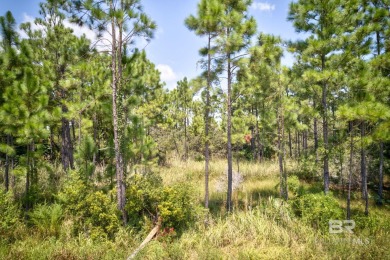 Nestled in the heart of a peaceful beachside community, this on Kiva Dunes Golf Club in Alabama - for sale on GolfHomes.com, golf home, golf lot