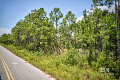 Nestled in the heart of a peaceful beachside community, this on Kiva Dunes Golf Club in Alabama - for sale on GolfHomes.com, golf home, golf lot